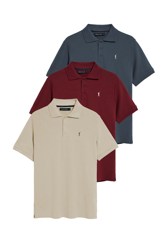PACK 3 - RIGBY GO POLO SS VN [G-DB-BE] MULTICOLOR (45396) Men