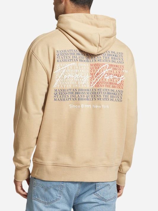 Tommy Hilfiger Hoodie/Sweat (DM0DM19239-AB9) Men