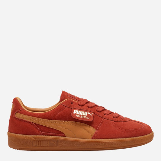 Puma trainers and sneakers (39646324) Men