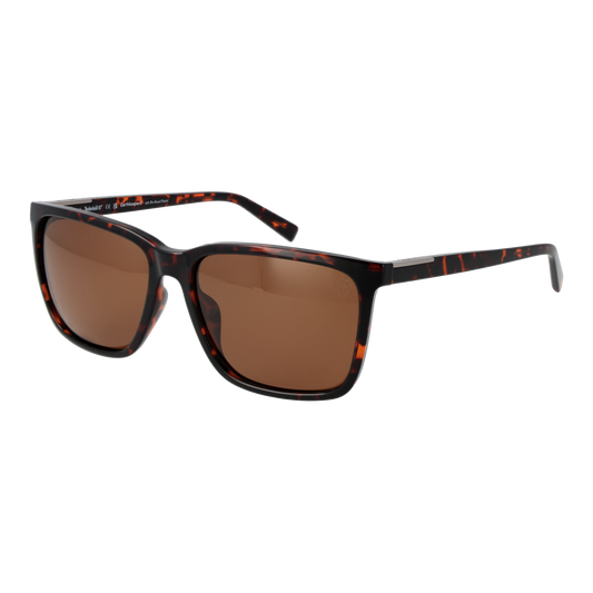 Timberland Square Sunglasses Brown (24001377) Men