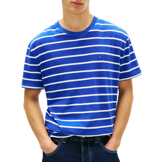 Tommy Hilfiger Regular Stripe Shirt (DM0DM22544-C8O) Men