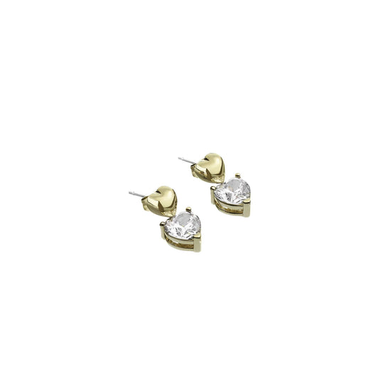 Chiara Ferragni Earrings (J19AWD04) Women
