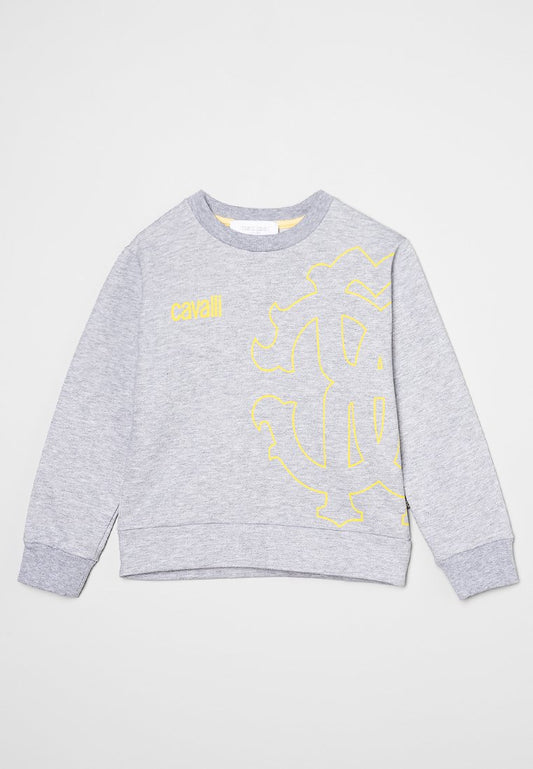 Roberto Cavalli Junior Boy sweatshirt grey (ZZO1Y6MCC-C00) Kids