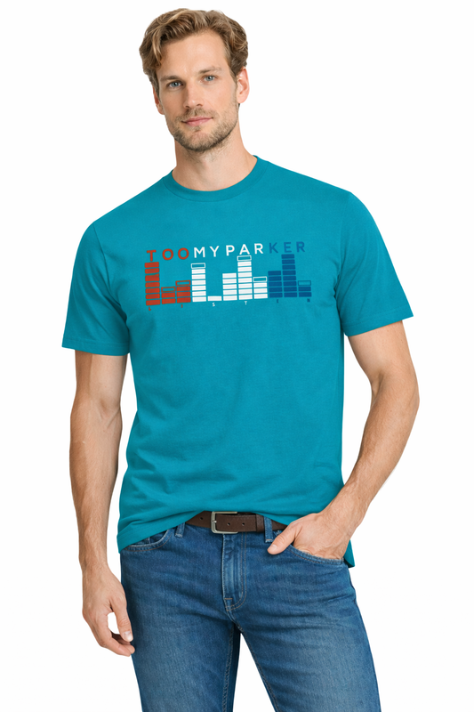 JUMPER T-SHIRT T-shirt Men's Turquoise (9163) Men